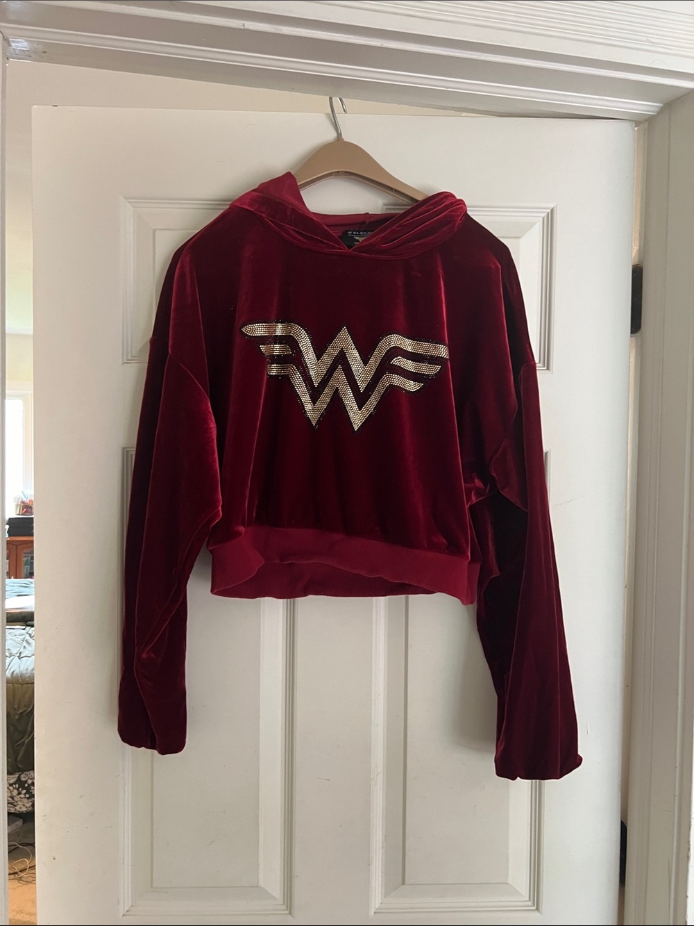 EleVen by Venus Williams Burgundy Velvet Hoodie with Gold Logo